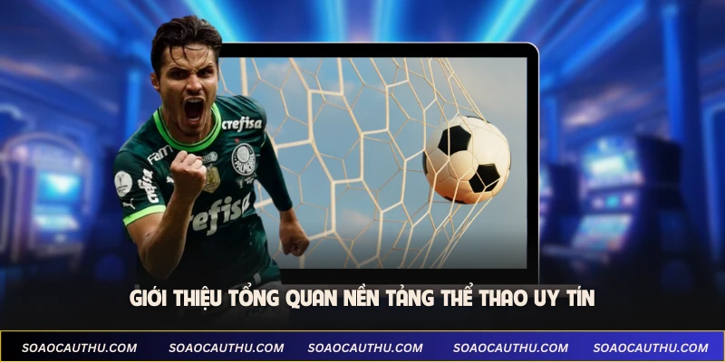 Giới thiệu tổng quan nền tảng thể thao uy tín