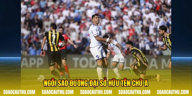 Ngôi sao đương đại sở hữu tên chữ A