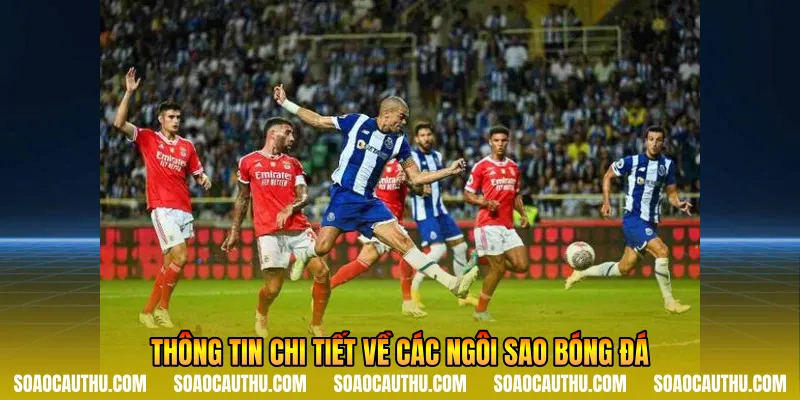 Thông tin chi tiết về các ngôi sao bóng đá
