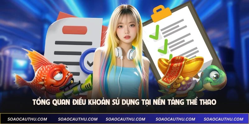 Tổng quan điều khoản sử dụng tại nền tảng thể thao